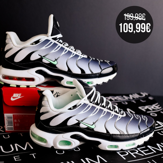 Nike Air Max Plus TN Mint Green