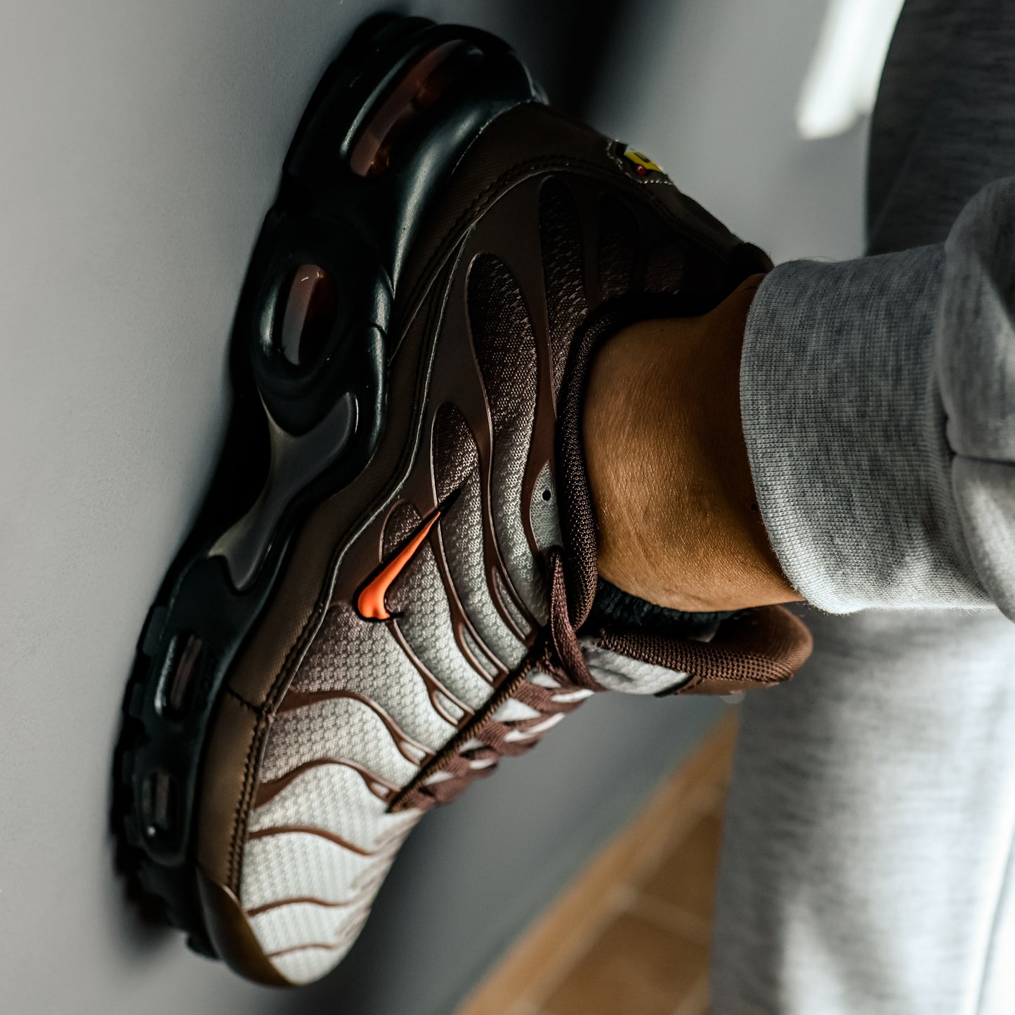 Nike Air Max Plus TN Mint Brown
