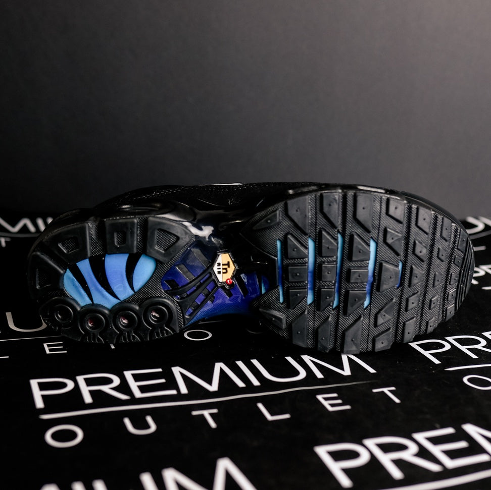 Nike Air Max Plus TN Berlin