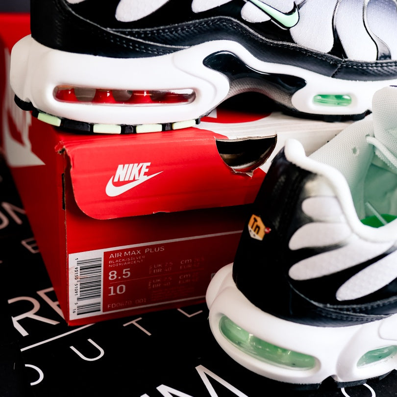 Nike Air Max Plus TN Mint Green