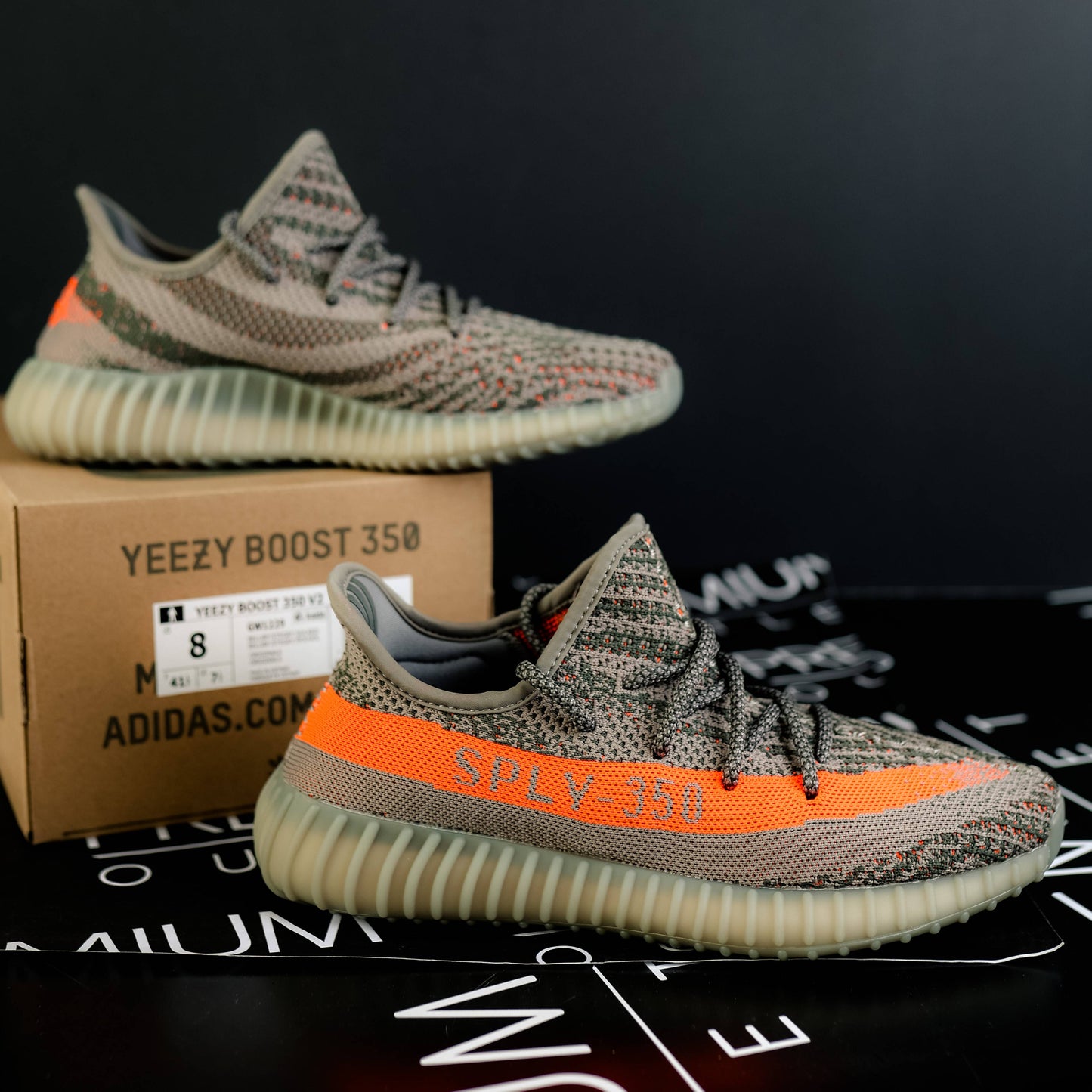 Yeezy Boost 350 V2 Beluga