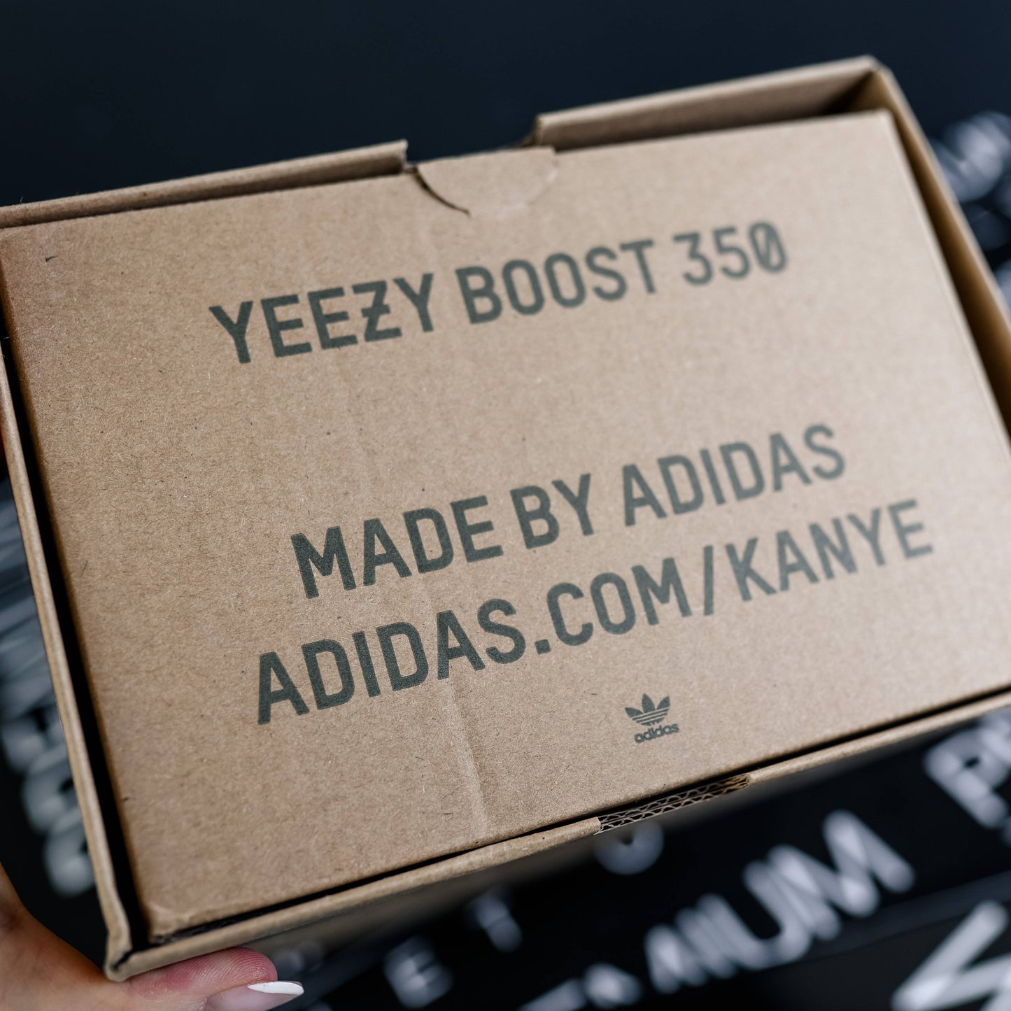 Yeezy Boost 350 V2 Beluga