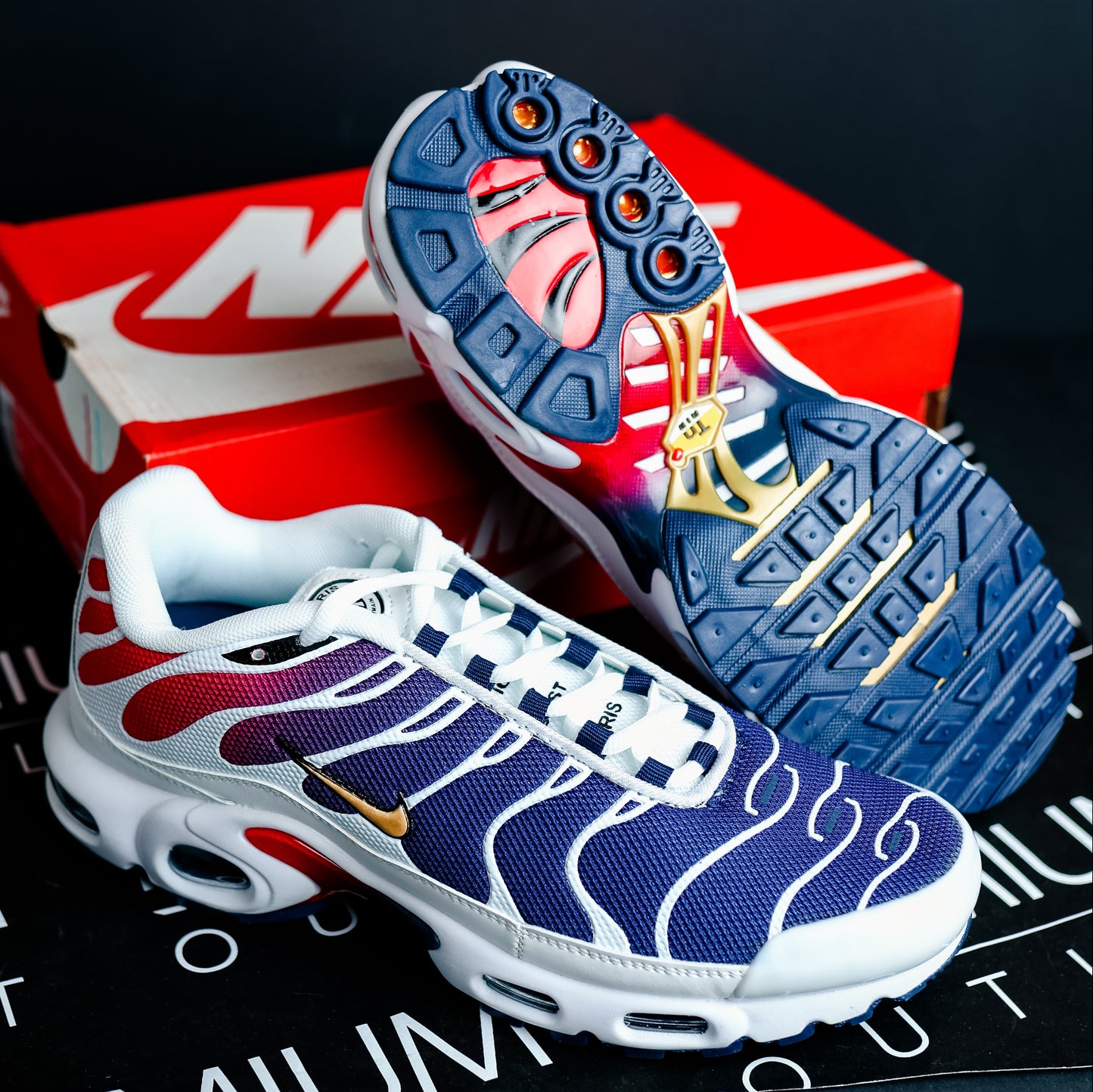 Nike Air Max Plus TN PSG