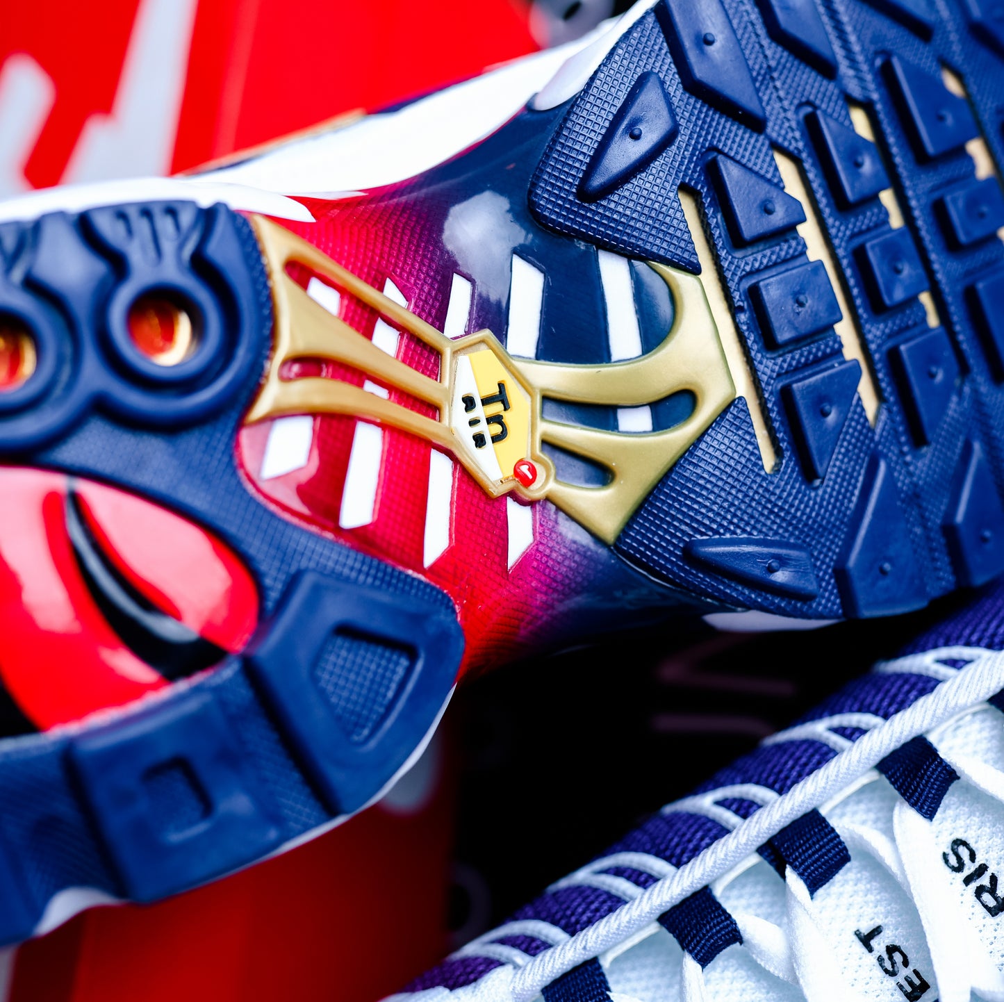 Nike Air Max Plus TN PSG