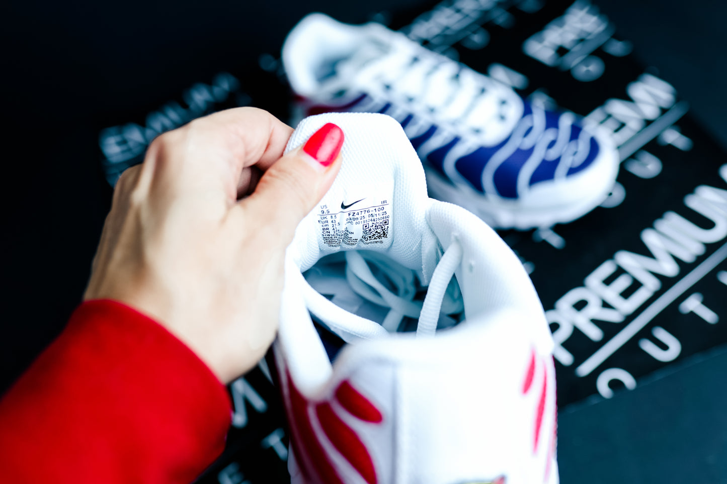 Nike Air Max Plus TN PSG