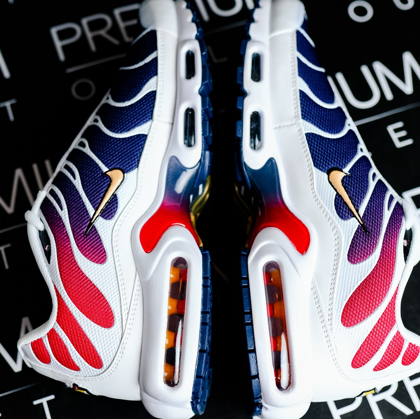 Nike Air Max Plus TN PSG