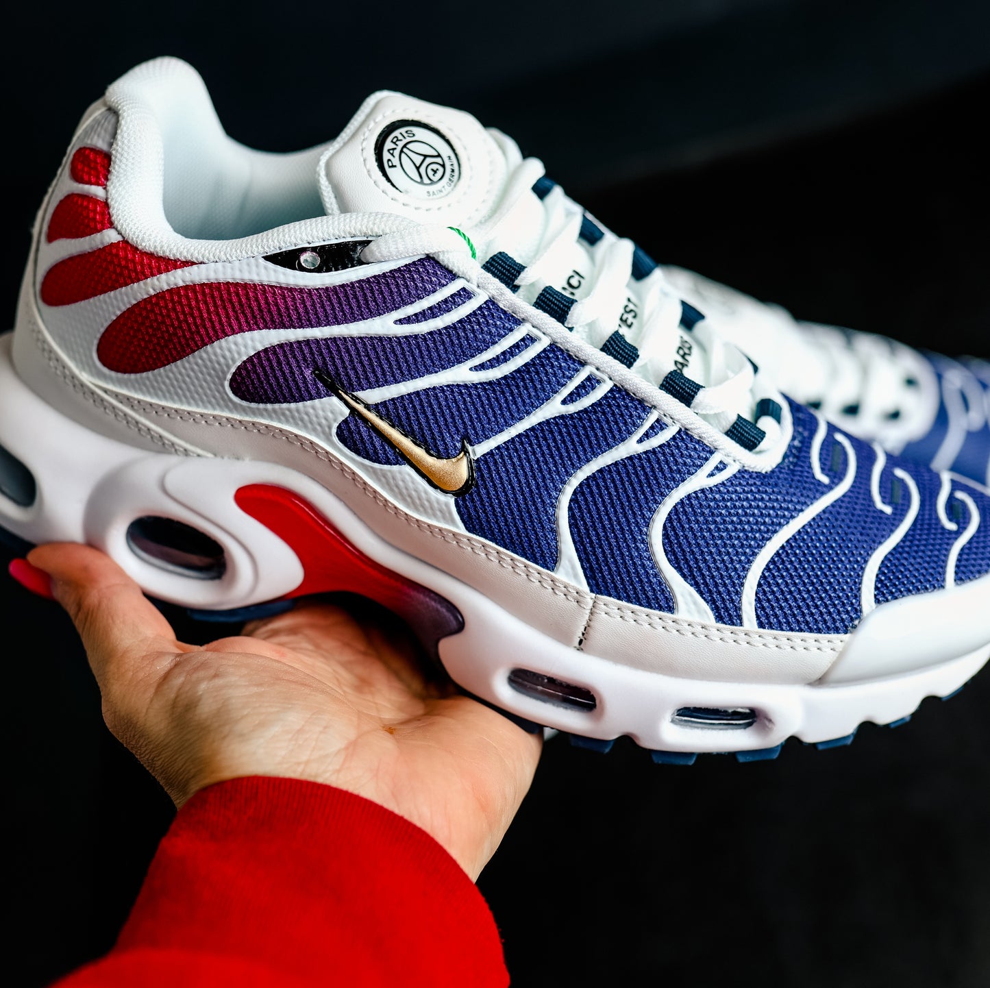 Nike Air Max Plus TN PSG