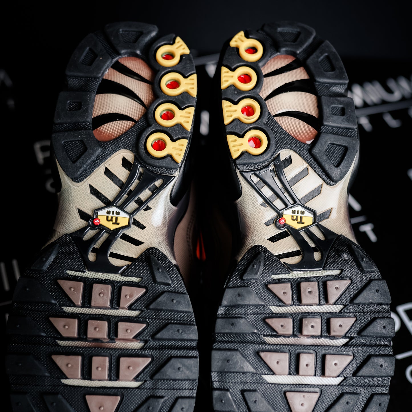 Nike Air Max Plus TN Mint Brown