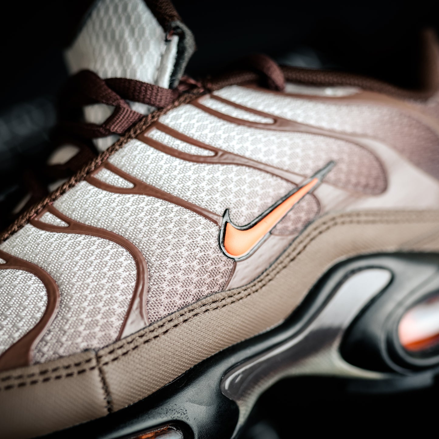 Nike Air Max Plus TN Mint Brown