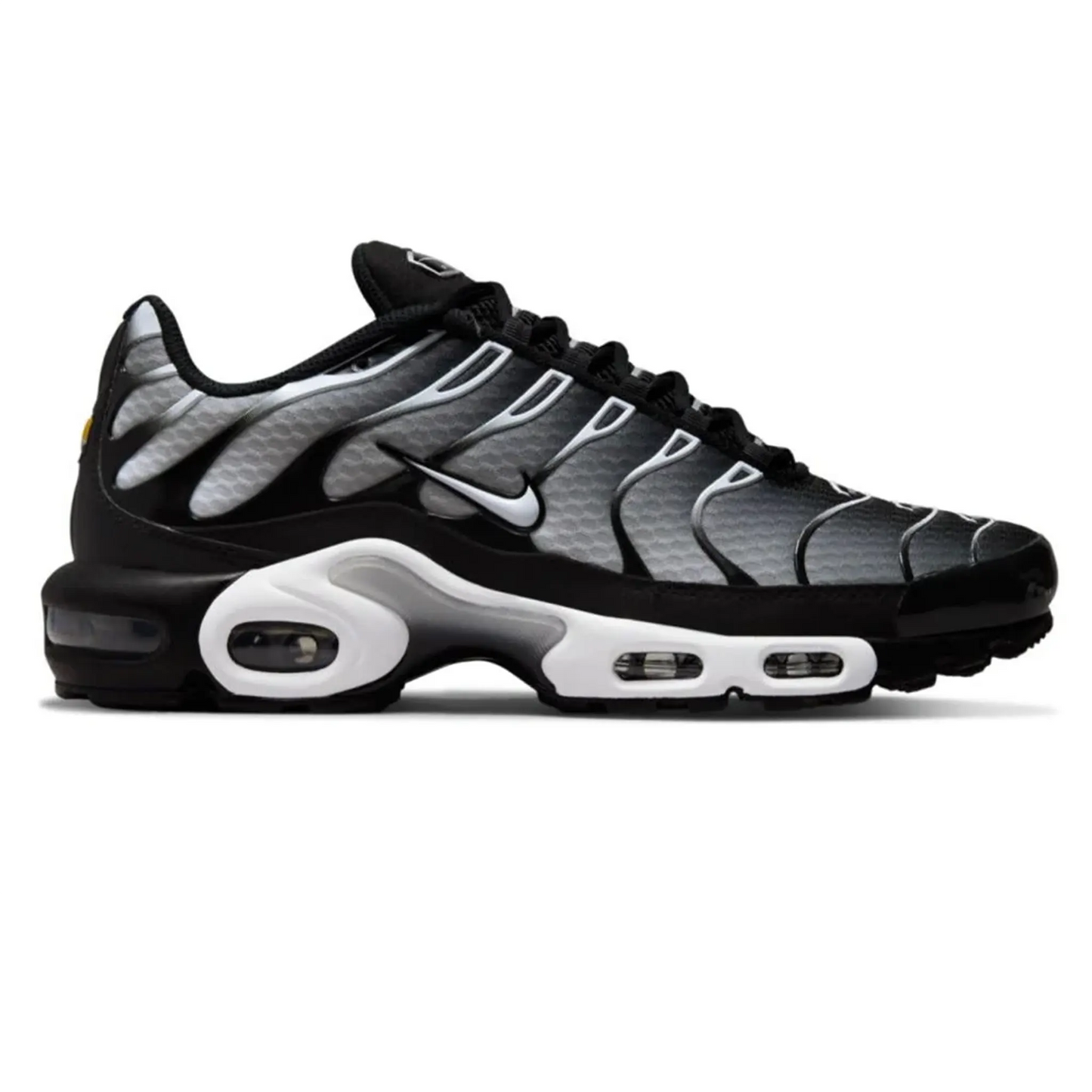 Nike Air Max Plus Black & Metallic Silver