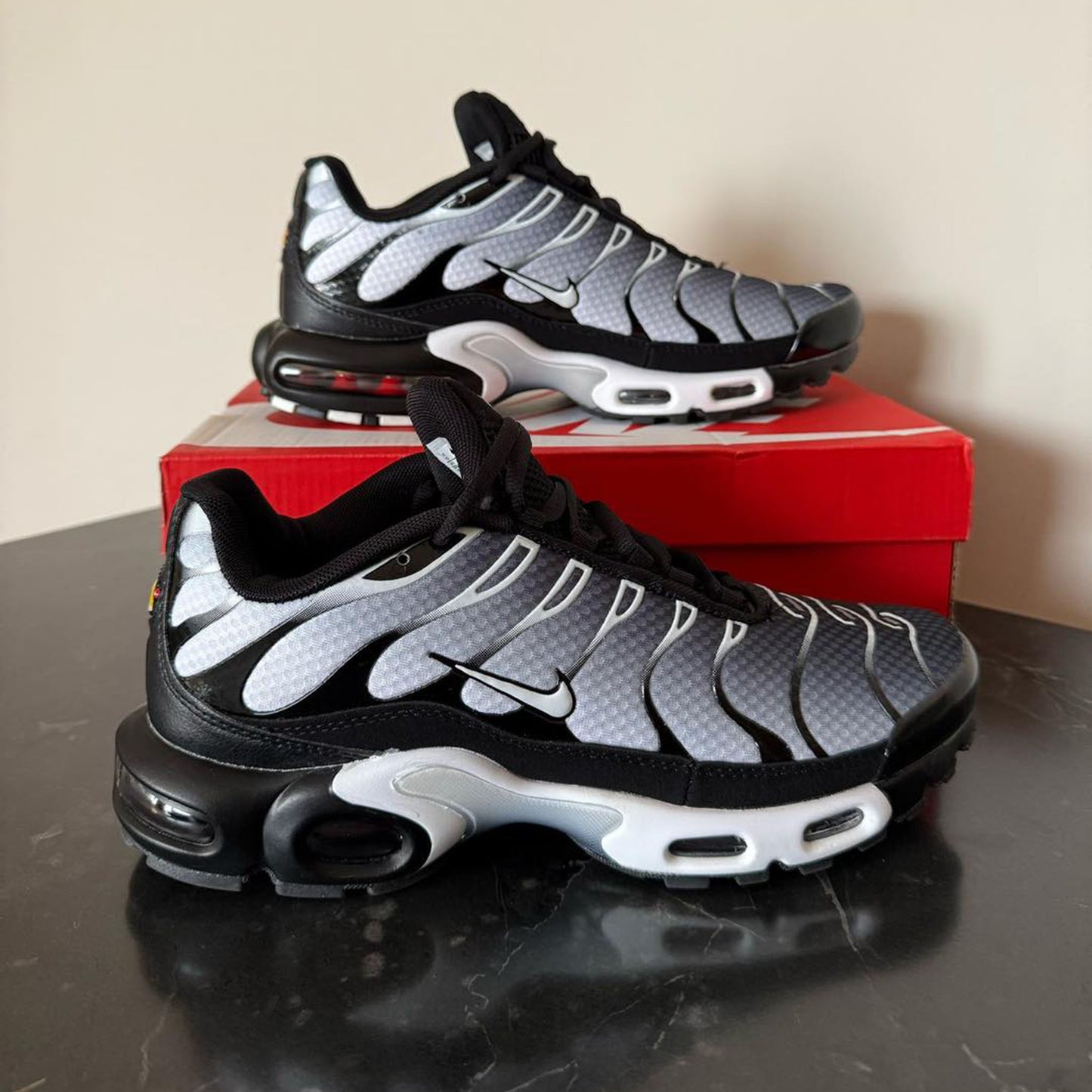 Nike Air Max Plus Black & Metallic Silver