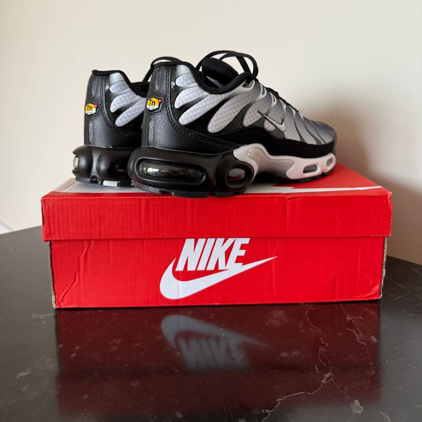 Nike Air Max Plus Black & Metallic Silver