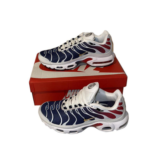 Nike TN Paris