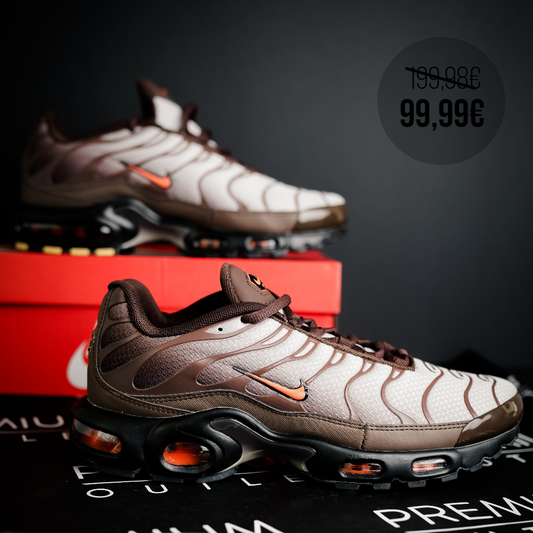 Nike Air Max Plus TN Mint Brown