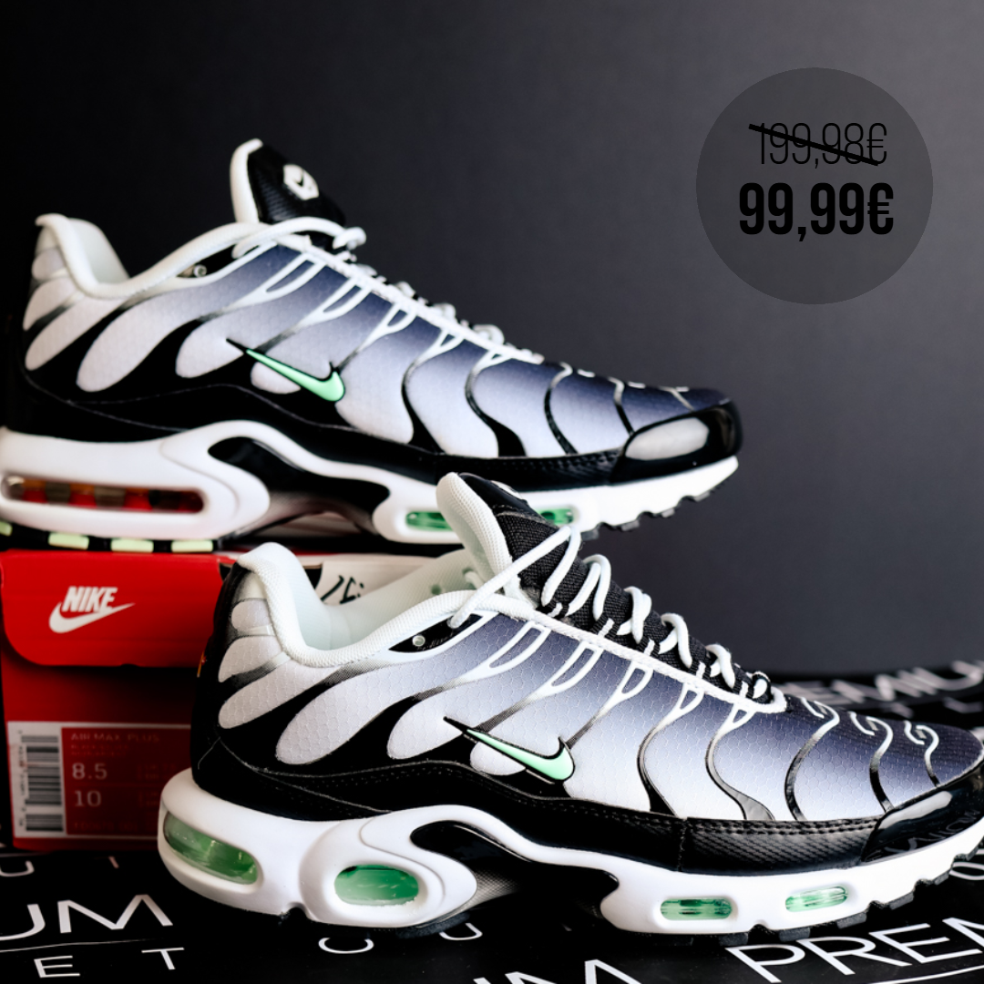 Nike Air Max Plus TN Mint Green